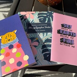 Allergy Symptom Tracker Journal + 2 Small Notebooks